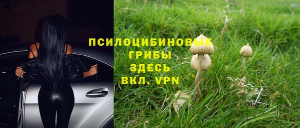 дживик Каменногорск