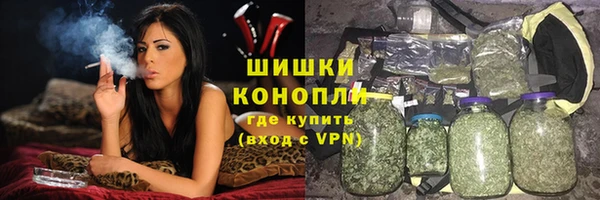 дживик Каменногорск