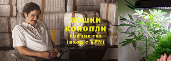 дживик Каменногорск
