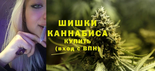 дживик Каменногорск